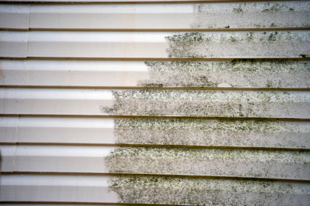 Best Steel Siding Installation  in Fruit Heights, UT