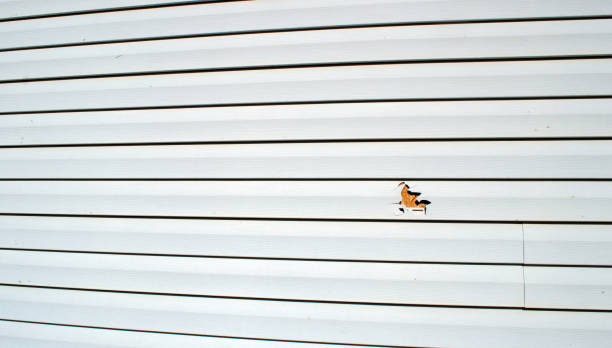 Best Brick Veneer Siding  in Fruit Heights, UT